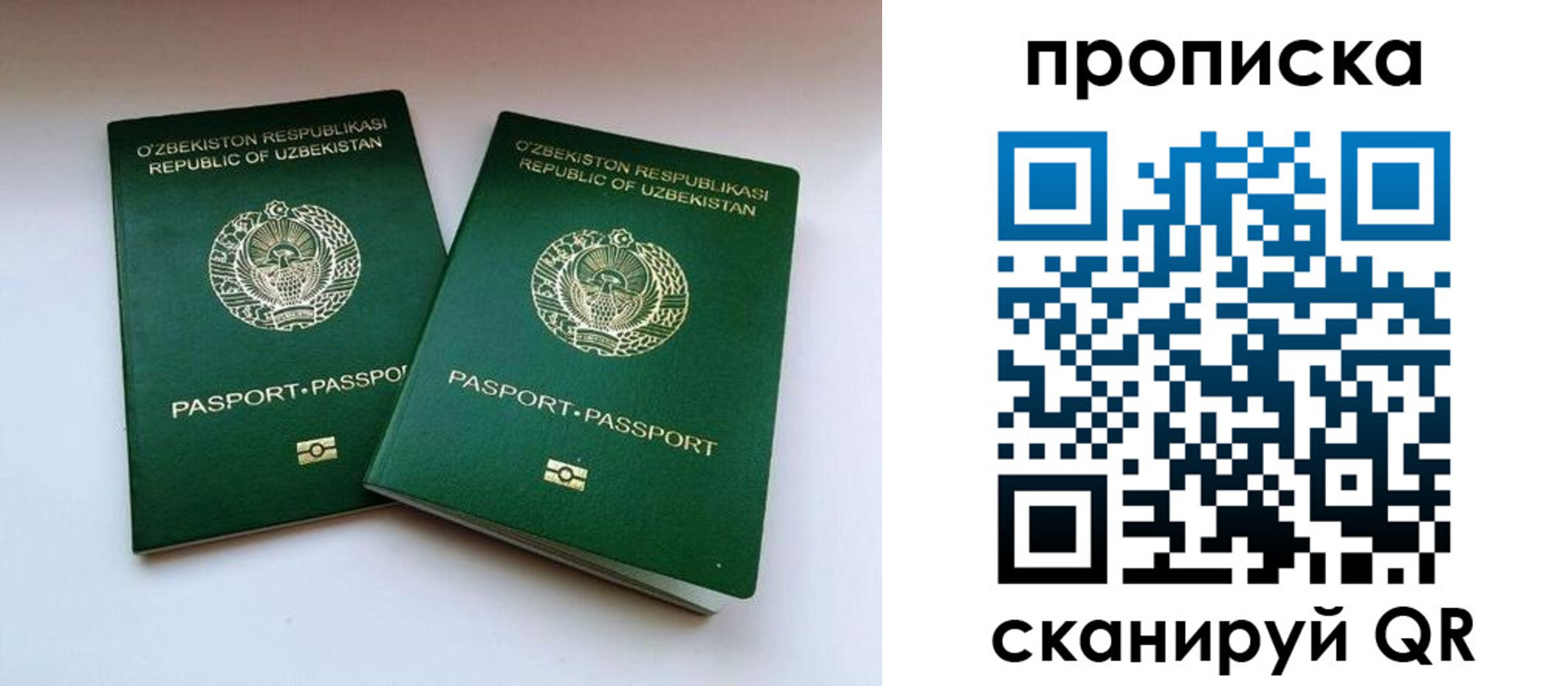 прописка поиск в Пикалёво